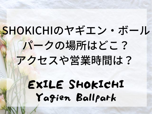 SHOKICHIのヤギエンボールパーク(YagienBallpark)